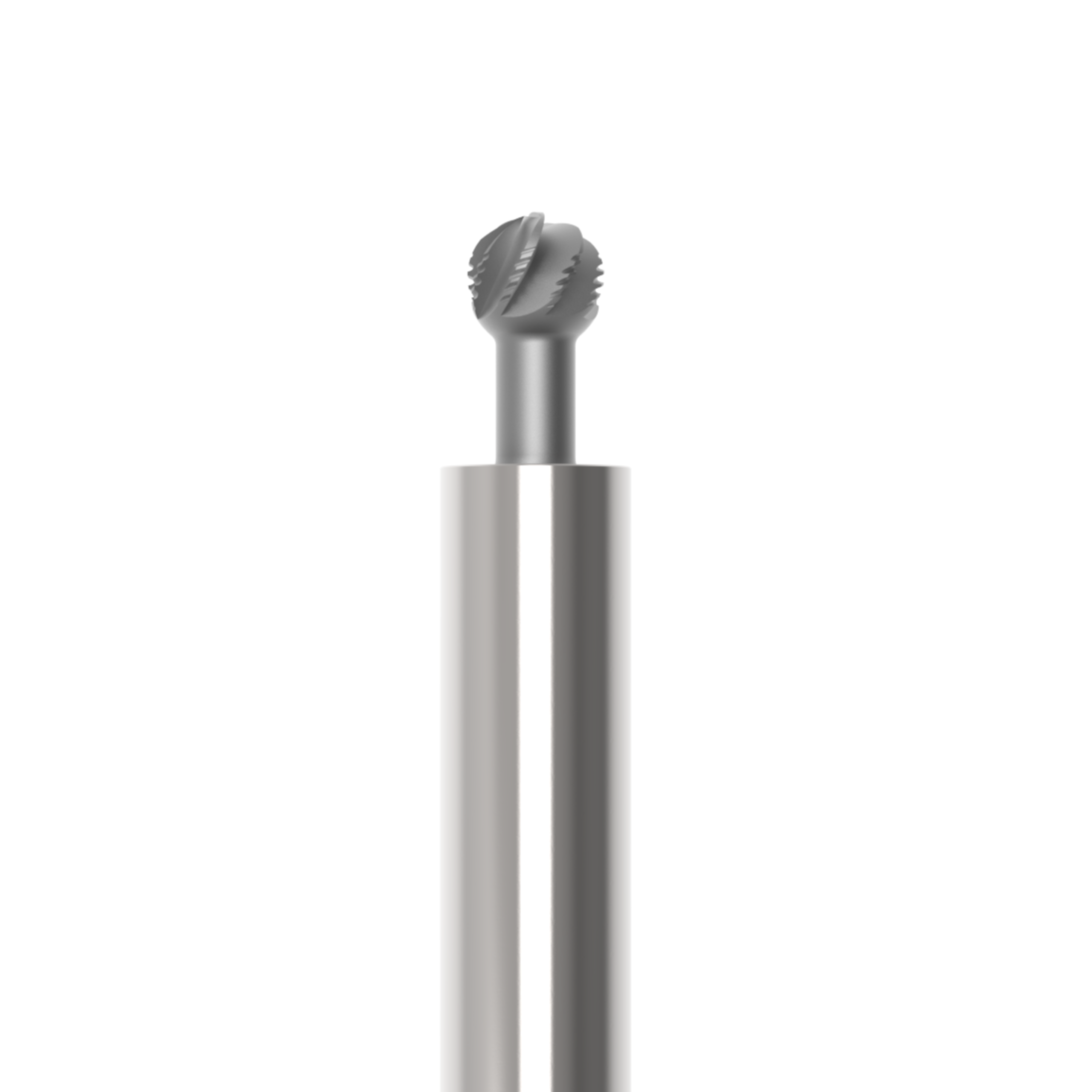 RoundBur nonprot RoundBur nonprot